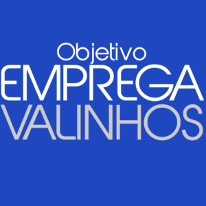 Objetivo do site Emprega Valinhos.